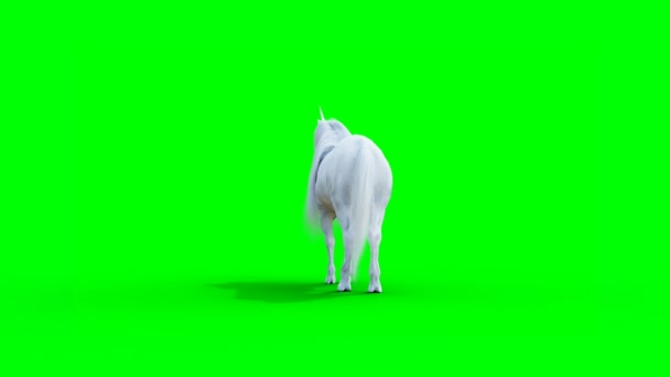 De pie unicornio mágico blanco. Animación realista de pantalla verde. — Vídeo de stock