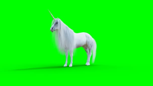 Unicorno magico bianco in piedi. Animazione realistica schermo verde. — Video Stock