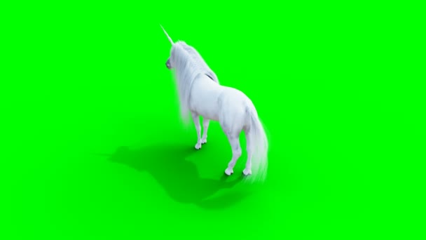 Debout licorne magique blanche. Écran vert animation réaliste. — Video