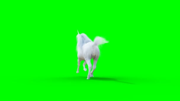 Бегущий белый волшебный единорог. Анимация на зелёном экране. — стоковое видео