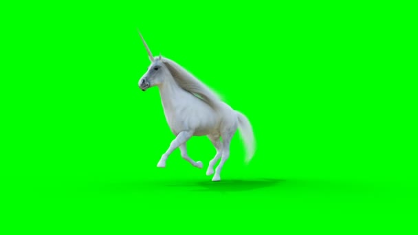 白い魔法のユニコーンを走らせている。緑の画面リアルなアニメーション. — ストック動画