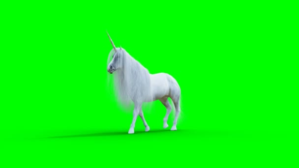 Wandelende witte magische eenhoorn. Groene scherm realistische animatie. — Stockvideo