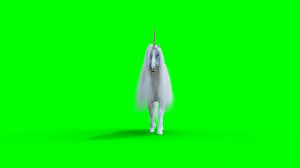 Unicorn putih berjalan. Animasi realistis layar hijau. — Stok Video