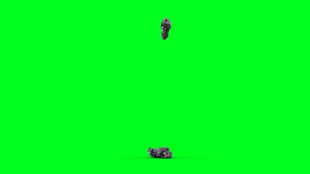 Shit falling on plate. Green screen isolate. — Vídeo de stock