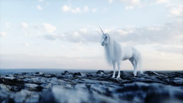 De pie unicornio mágico blanco en las rocas. Animación realista 4k. — Vídeo de stock