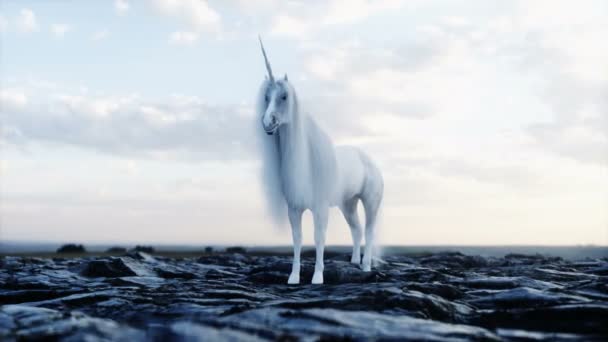 De pie unicornio mágico blanco en las rocas. Animación realista 4k. — Vídeo de stock