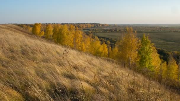 River landscape. Field landscape. Russian siberian nature. Autumn landscape. — Stock Video