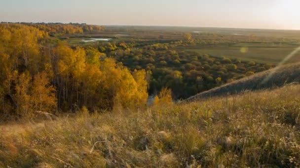 River landscape. Field landscape. Russian siberian nature. Autumn landscape. — Stock Video