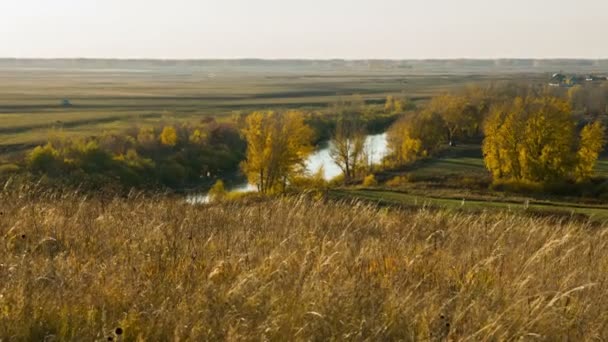 River landscape. Field landscape. Russian siberian nature. Autumn landscape. — Stock Video