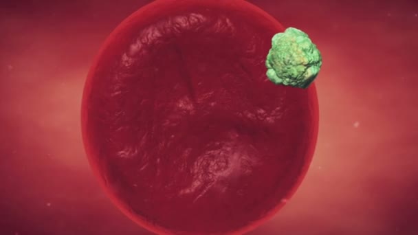 Virus infetti, replicazione del virus nella cellula, replicazione del virus nella cellula epatica, virus all'interno della cellula, virus infettare la cellula, virus attaccare le cellule epatiche — Video Stock