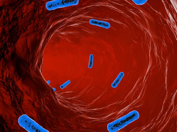 Bakterien auf einer organischen Oberfläche. — Stockfoto