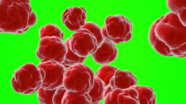 Ανθρώπινων κυττάρων του Dna. Ρεαλιστική 3d animation. πράσινη οθόνη — Αρχείο Βίντεο