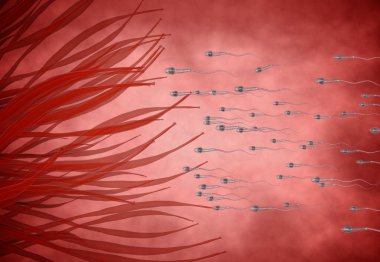 spermatozoons, ovule - 3d render için yüzer