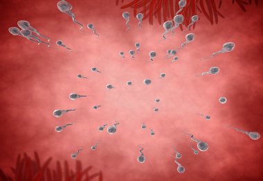 spermatozoons, ovule - 3d render için yüzer