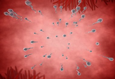Spermatozoons, floating to ovule - 3d render clipart