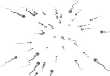 spermatozoons, ovule - 3d render için yüzer