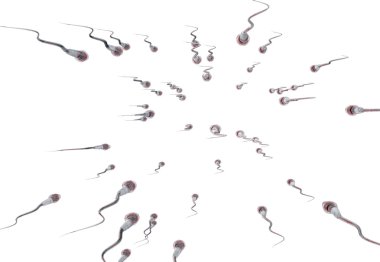 Spermatozoons, floating to ovule - 3d render clipart