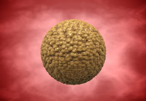 Spermatozoi, galleggianti all'ovulo - rendering 3d — Foto Stock