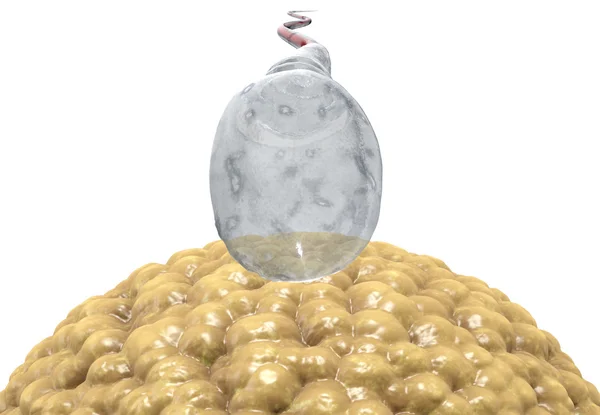 Spermatozoons, flutuando para o óvulo - 3d render — Fotografia de Stock