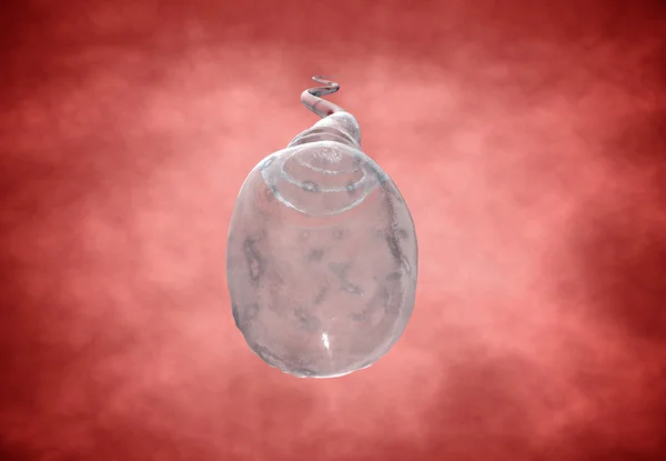 Spermatozoïdes, flottants à l'ovule - rendu 3d — Photo