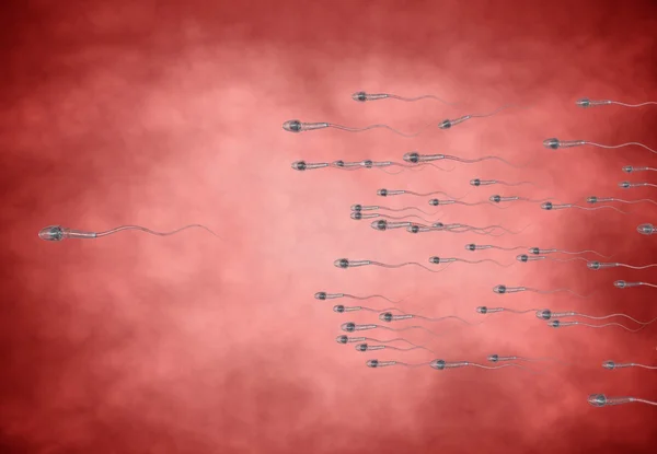 Espermatozoides, flotando en el óvulo - renderizado 3d —  Fotos de Stock