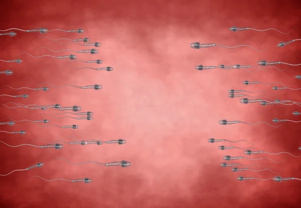 Spermatozoons, 난-3d 렌더링을 떠 — 스톡 사진