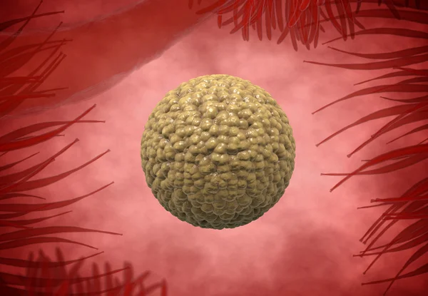 Spermatozoons，漂浮到胚珠-3d 渲染 — 图库照片
