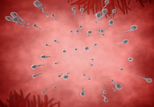 Сперматозооны, плавающие в яйцеклетку - 3d рендеринг — стоковое фото