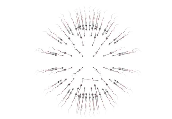 Spermatozoons, 난-3d 렌더링을 떠 — 스톡 사진