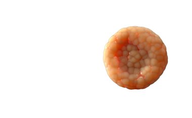 Virüs. Virüslü canlı, viral hastalığı salgın Bacteria.Viruses. 3D render