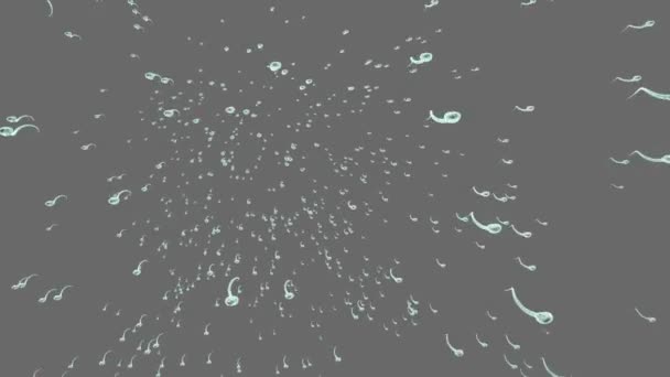 Spermatozoons. Sperm of stream. Isolated on solid. Alpha matte included. Realistic 3d animation — Stock Video