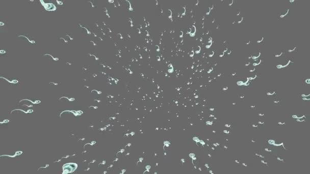 Spermatozoons. Spermier av ström. Isolerad på solid. Alfa-Matt ingår. Realistisk 3D-animering — Stockvideo