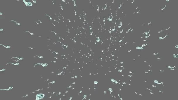 Des spermatozoïdes. Sperme de ruisseau. Isolé sur solide. Alpha mat inclus. Animation 3D réaliste — Video