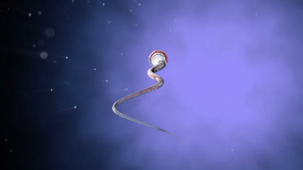 精子，有机背景上的精子。包括阿尔法哑光。逼真的3D动画 — 图库视频影像
