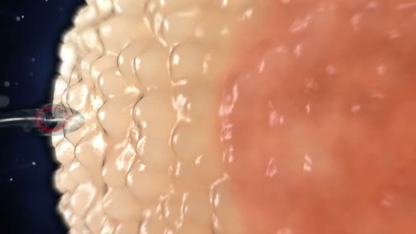sperm and egg video Use bugmenot cheat porn sites