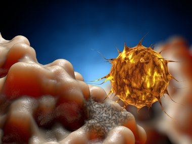 Virüs. Virüslü canlı, viral hastalığı salgın Bacteria.Viruses. 3D render