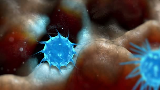 Virus, bactéries, infection à l'intérieur de l'organisme vue. Processus d'infection. rendu 3d réaliste — Video