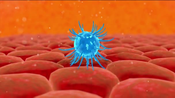 Vírus, baktérium, fertőzés szervezet belseje. A fertőzés folyamata. Valósághű 3D-s megjelenítés — Stock videók