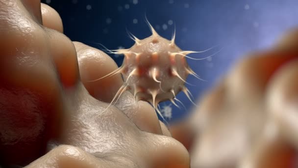 Virus, Bakterien, Infektionen innerhalb des Organismus Ansicht. Infektionsprozess. realistische 3D-Darstellung — Stockvideo