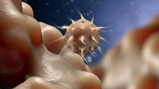 Virussen, bacteriën, infectie binnen organisme mening. Proces van infectie. Realistische 3d render — Stockvideo