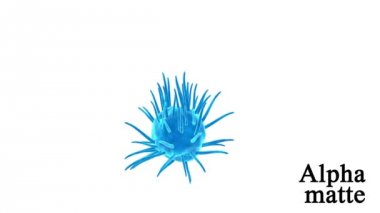 İç organizma görünümü. Organik hücre yüzeyine. Yeşil ekran görüntüleri