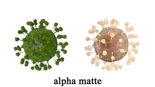 内部の生物を表示します。有機細胞表面。グリーン スクリーンの映像 — ストック動画