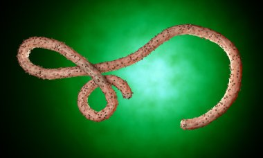 Ebola virüs, bakteri, virüs, salgın. Kan hücre organizma içinde Ebola virüsü gerçekçi 3d render. 