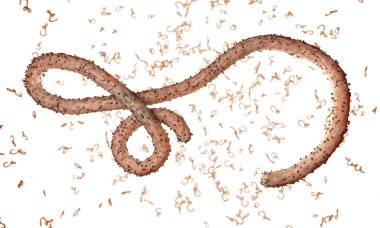 Ebola virüs, bakteri, virüs, salgın. Kan hücre organizma içinde Ebola virüsü gerçekçi 3d render. 