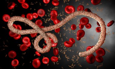 Ebola virüs, bakteri, virüs, salgın. Kan hücre organizma içinde Ebola virüsü gerçekçi 3d render. 