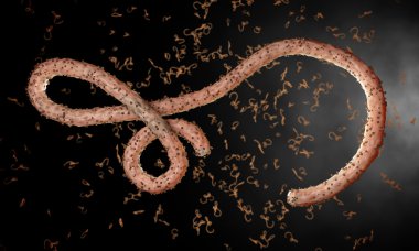 Ebola virüs, bakteri, virüs, salgın. Kan hücre organizma içinde Ebola virüsü gerçekçi 3d render. 