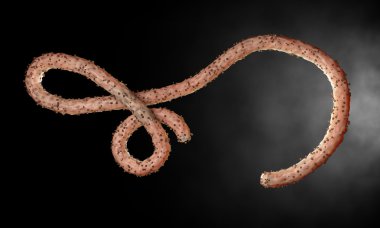 Ebola virüs, bakteri, virüs, salgın. Kan hücre organizma içinde Ebola virüsü gerçekçi 3d render. 