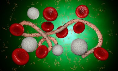 Ebola virüs, bakteri, virüs, salgın. Kan hücre organizma içinde Ebola virüsü gerçekçi 3d render. 