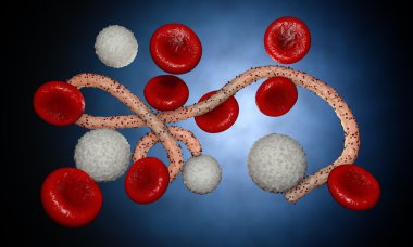 Ebola virüs, bakteri, virüs, salgın. Kan hücre organizma içinde Ebola virüsü gerçekçi 3d render. 
