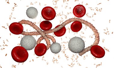 Ebola virüs, bakteri, virüs, salgın. Kan hücre organizma içinde Ebola virüsü gerçekçi 3d render. 
